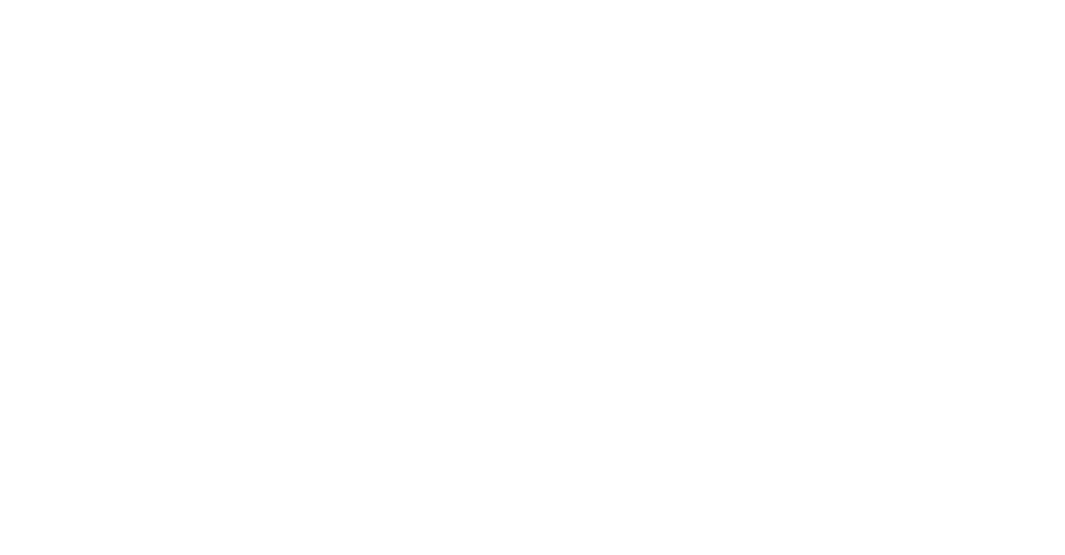 RISE